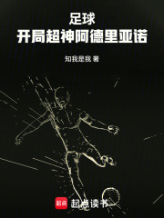 足球：开局超神阿德里亚诺