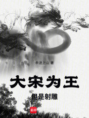 大宋为王，但是射雕