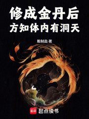修成金丹后，方知体内有洞天