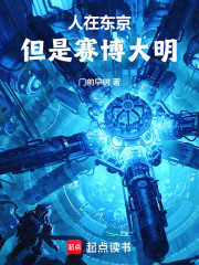 赛博大明：从东京府开始序列