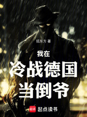 我在冷战德国当倒爷