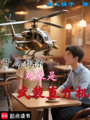 开局相亲，对象是武装直升机