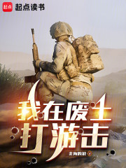 我在废土打游击