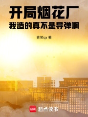 开局烟花厂，我造的真不是导弹啊