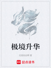 极境升华