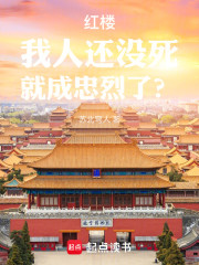 人在红楼，以武服人