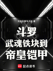 斗罗：武魂铁块到终极帝皇铠甲