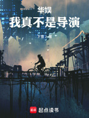 华娱：我真不是导演