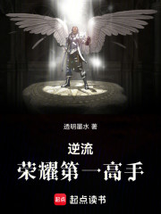 逆流：荣耀第一高手