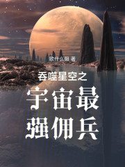 吞噬星空之宇宙最强佣兵