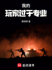 我的玩家过于专业