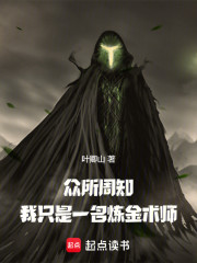 众所周知，我只是一名炼金术师