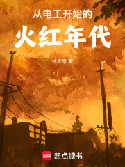 从电工开始的火红年代