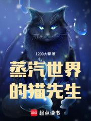 蒸汽世界的猫先生