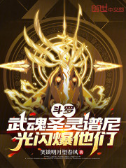 斗罗：武魂圣灵谱尼，光闪爆他们