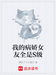 我的病娇女友全是S级