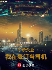 子承父业，我在豪门当司机