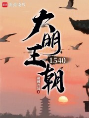 大明王朝1540