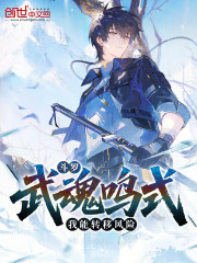 斗罗：武魂鸣式，我能转移风险