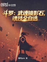 斗罗：武魂镜影石，魂技全自选