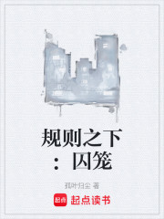 规则之下：囚笼