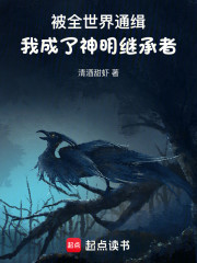 被全世界通缉，我成了神明继承者