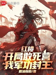 红楼：开局敢死营，我军功封王