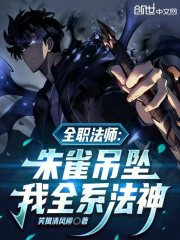 全职法师：朱雀吊坠，我全系法神