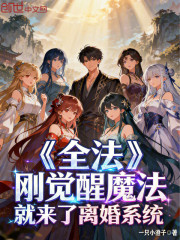 全法：刚觉醒魔法就来了离婚系统