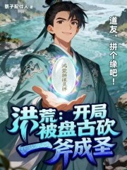 洪荒：开局被盘古砍一斧成圣