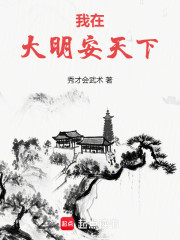 我在大明安天下