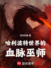 哈利波特世界的血脉巫师