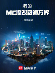 我的MC魔改包通万界