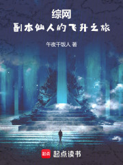 综网：副本仙人的飞升之旅