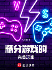 精分游戏的完美玩家