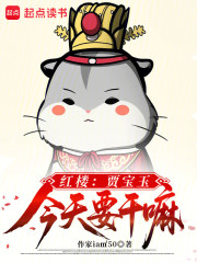 红楼：贾宝玉今天要干嘛