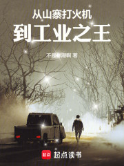 从山寨打火机，到工业之王