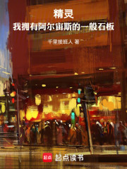 精灵：我拥有阿尔宙斯的一般石板