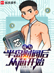 成为半岛财阀后从芯开始