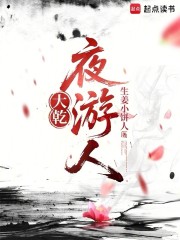 大乾夜游人