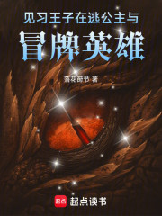 见习王子，在逃公主与冒牌英雄