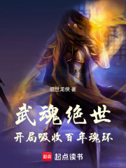 武魂绝世，开局吸收百年魂环