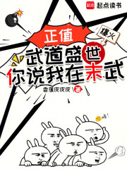正值武道盛世，你说我在末武？？