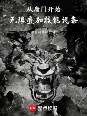 从唐门开始无限叠加技能词条