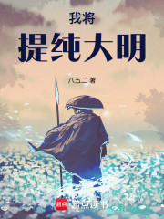 我将提纯大明
