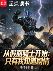 从假面骑士开始：只有我知道剧情