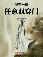 我有一扇任意双穿门