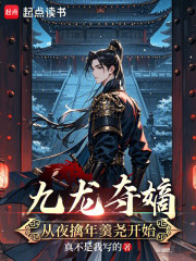 九龙夺嫡，从夜擒年羹尧开始