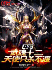 斗罗：武魂十二天使，只杀不渡