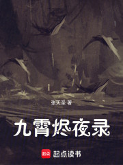 九霄烬夜录